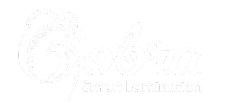 Gobra Logo